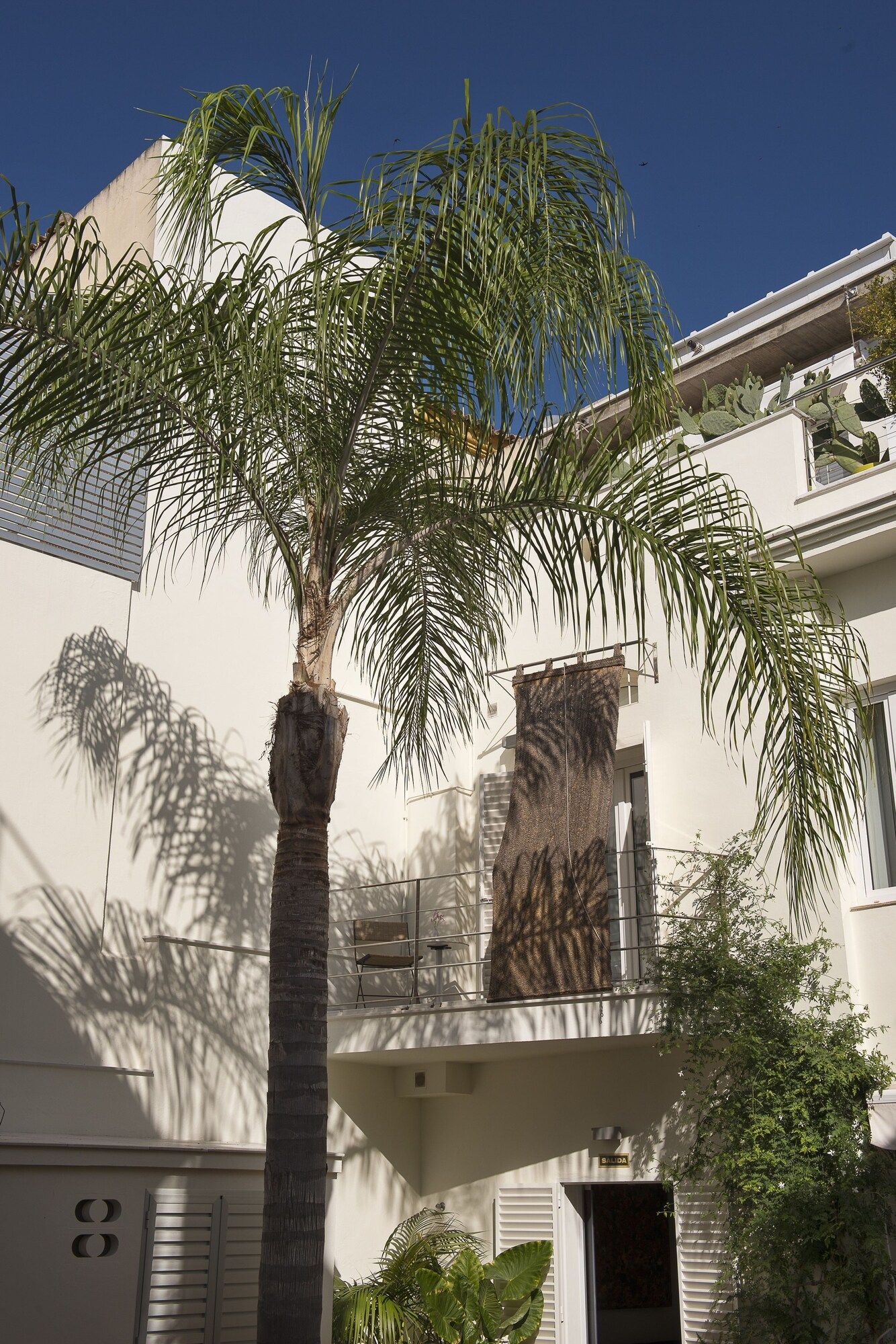 Outdoor view