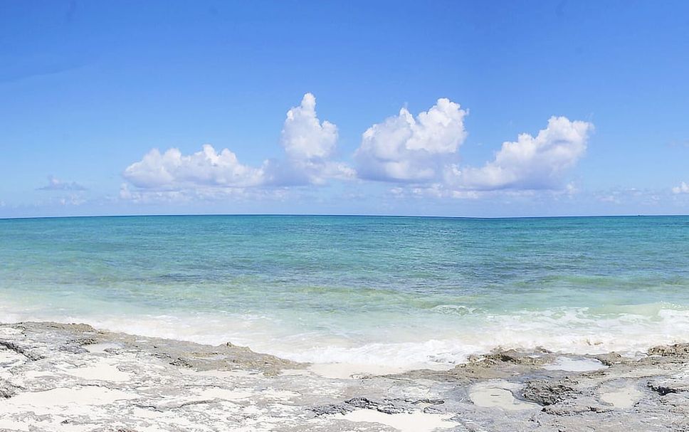 Beach Photo