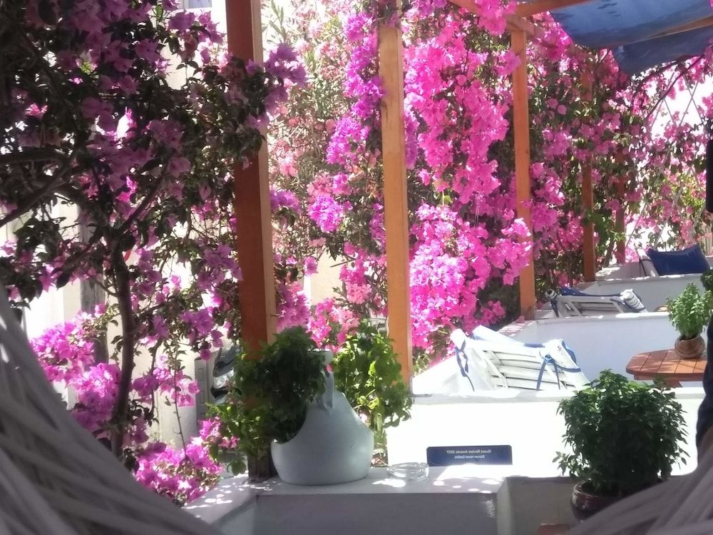Outdoor view