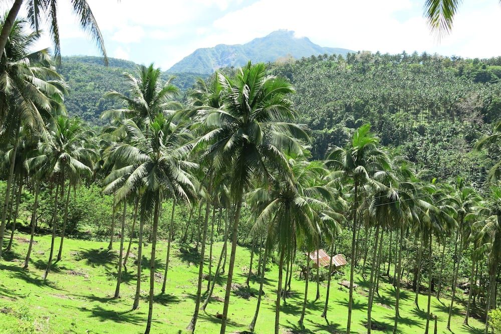 Outdoor view