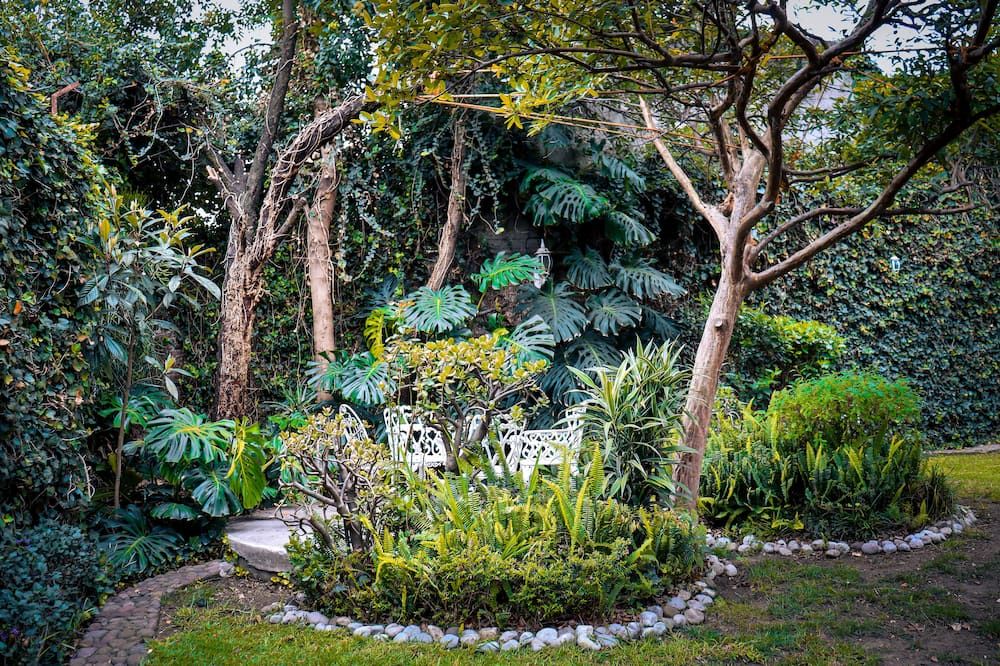 Outdoor view