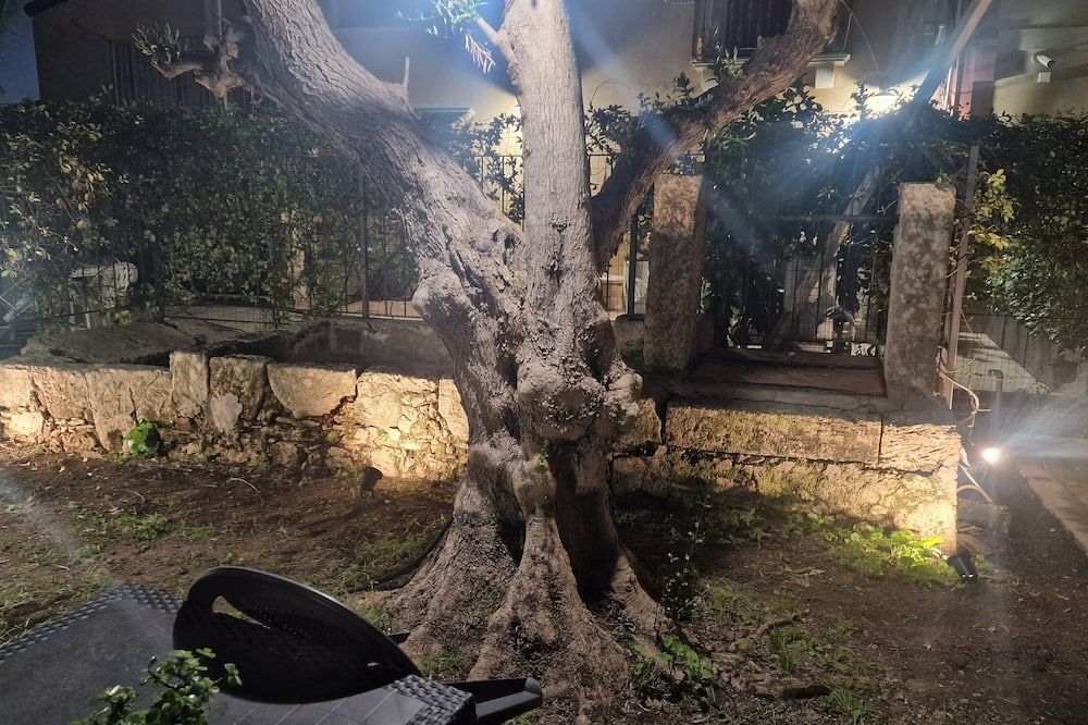 Outdoor view