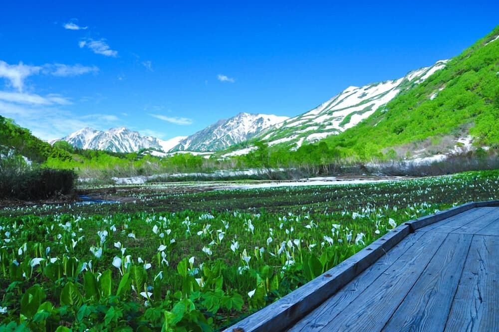 Outdoor view Photo