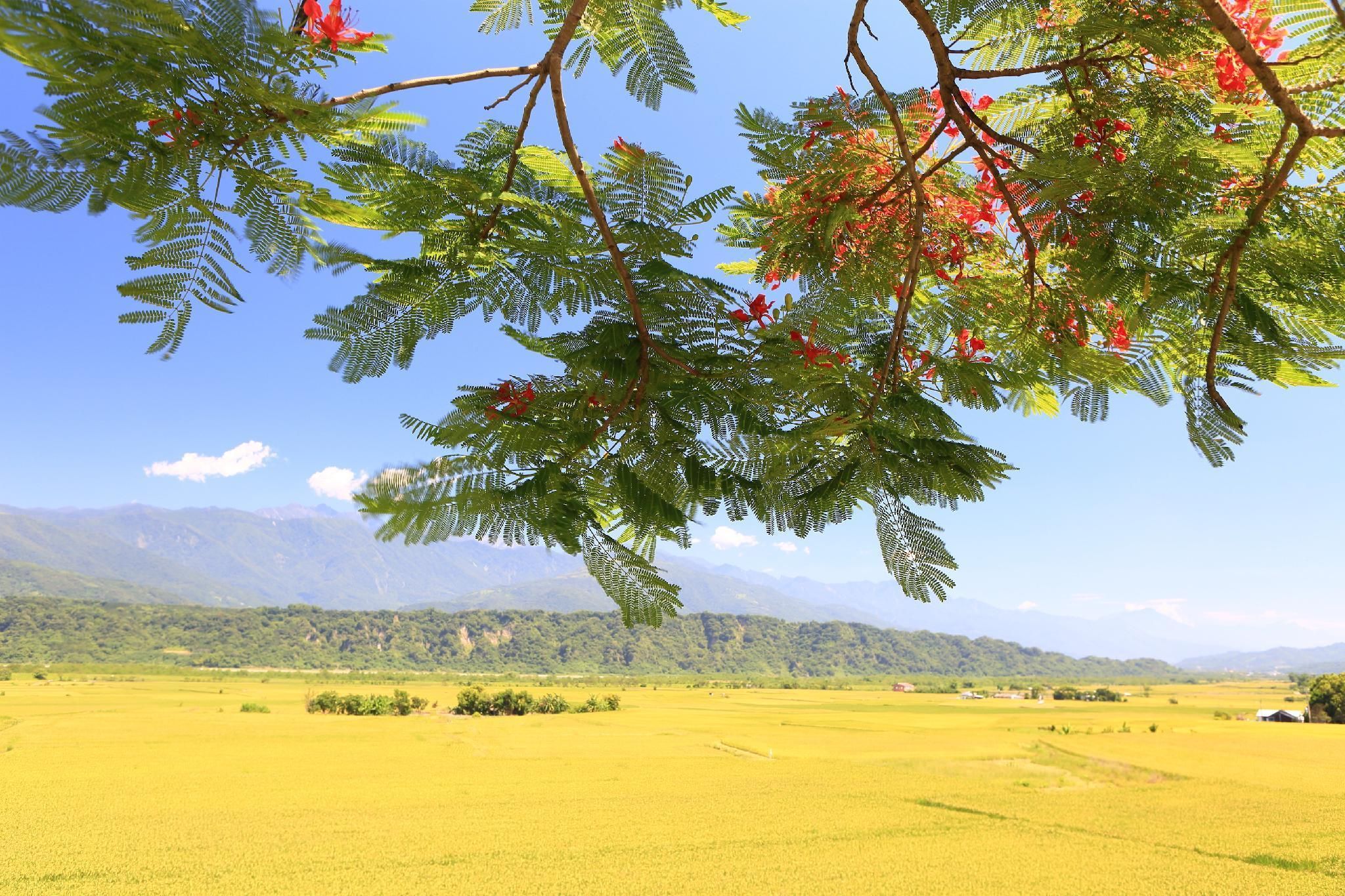 Outdoor view
