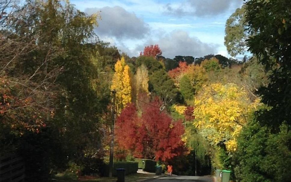 Outdoor view Photo
