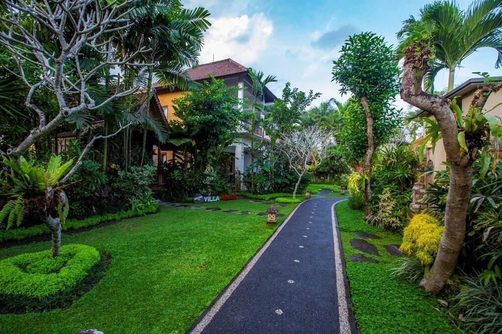 Outdoor view