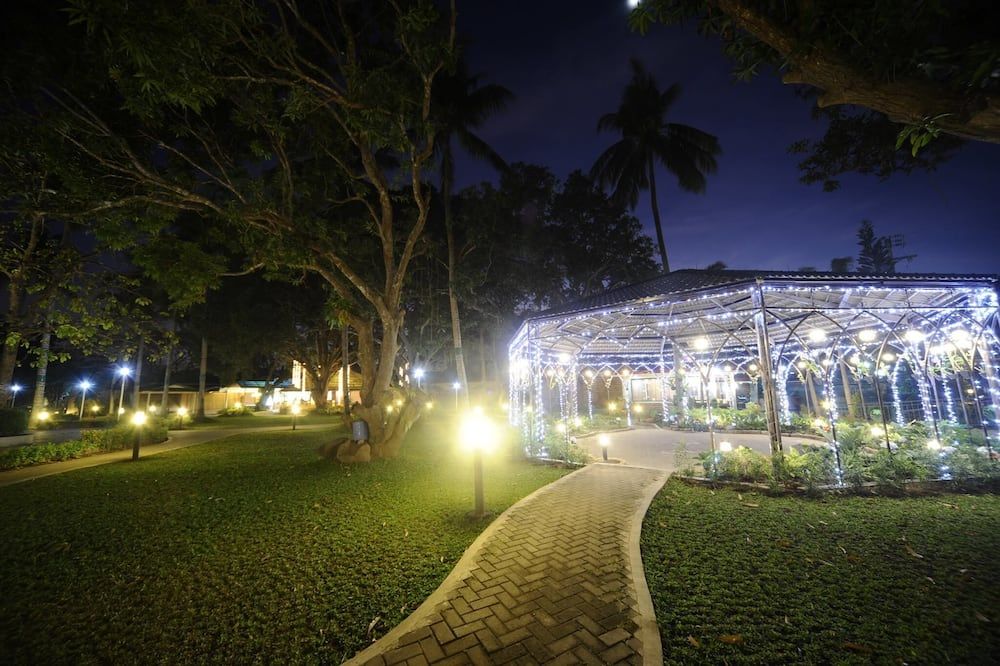 Outdoor view