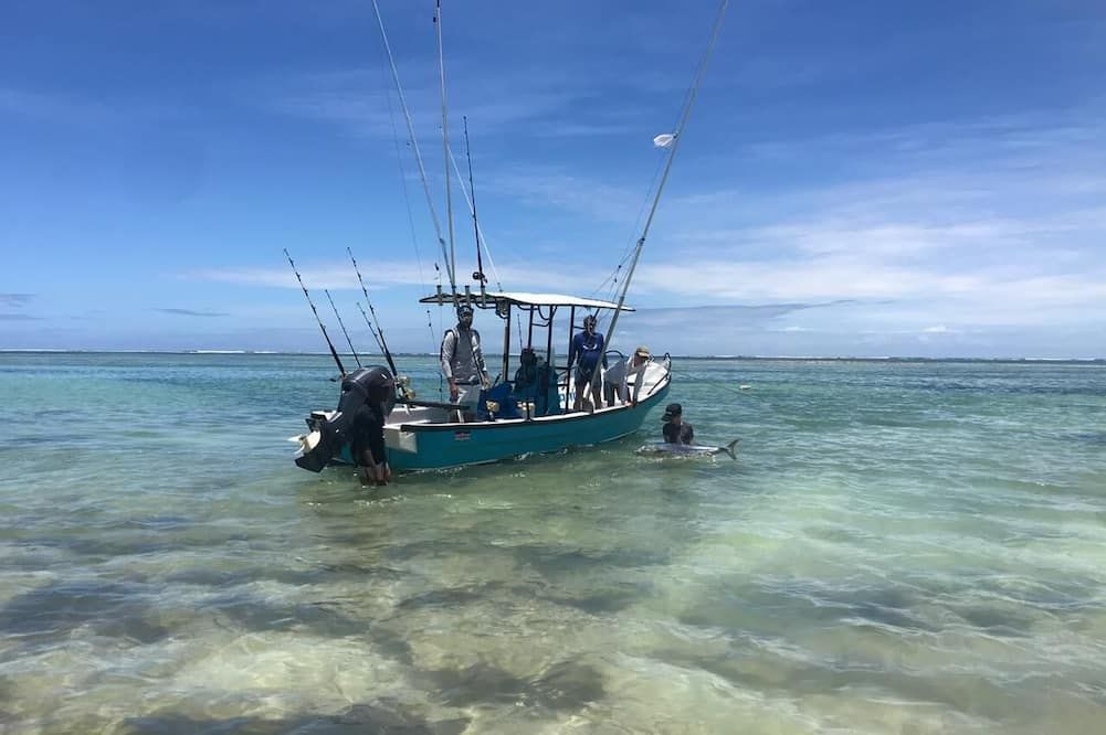 Other