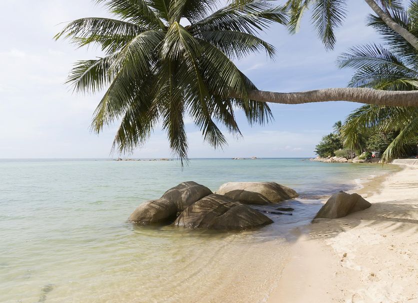 Beach Photo