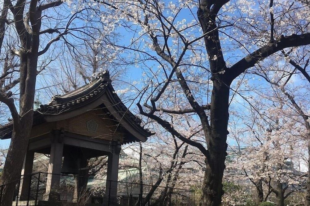 Outdoor view