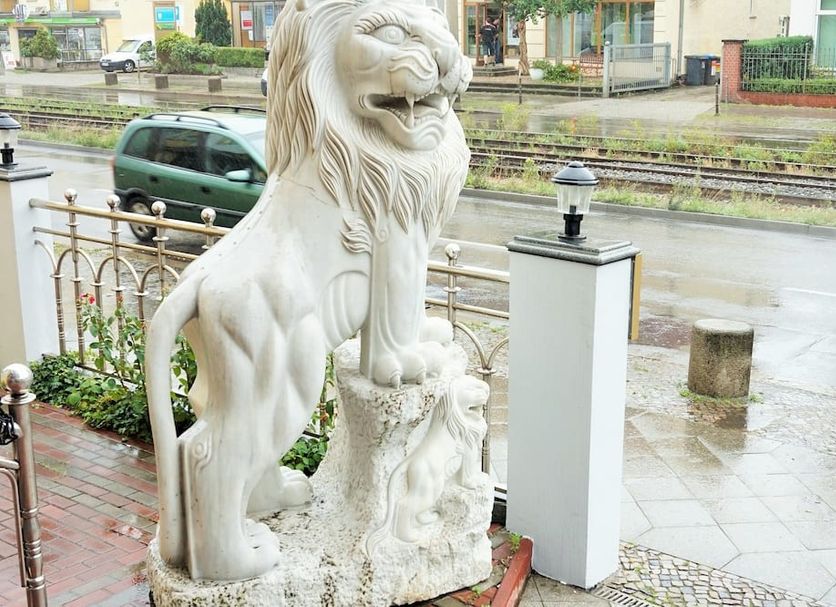 Other Photo