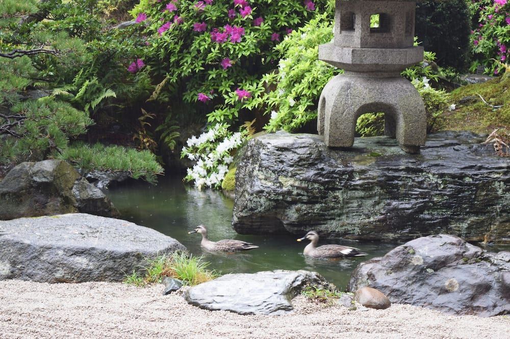 Outdoor view