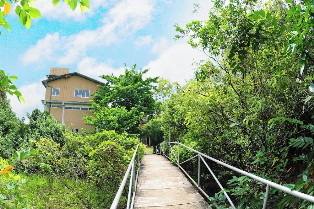 Outdoor view