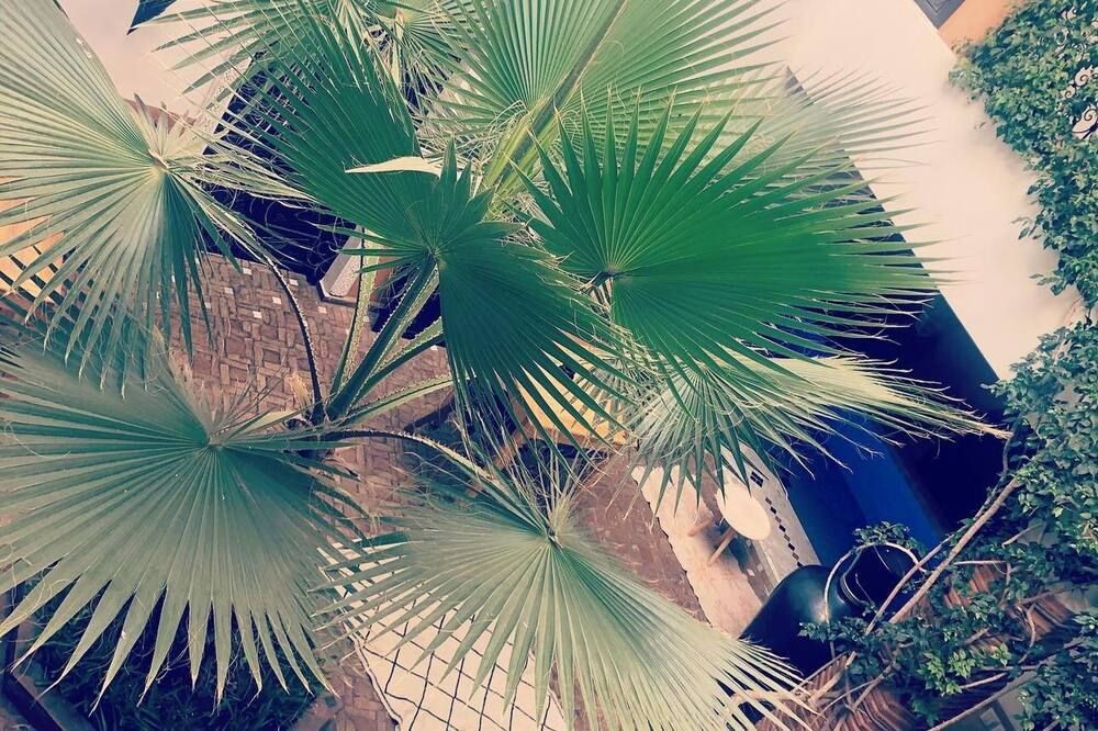 Outdoor view