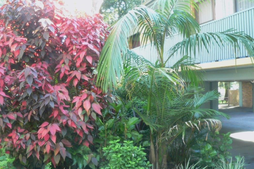 Outdoor view