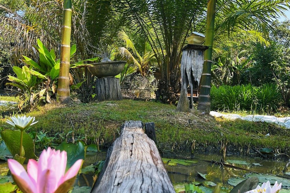 Outdoor view
