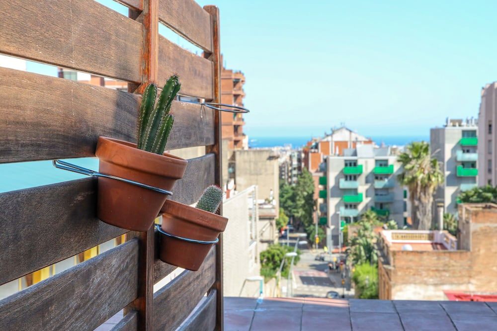 Outdoor view