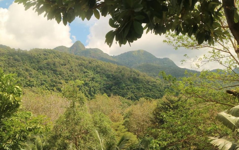 Outdoor view Photo