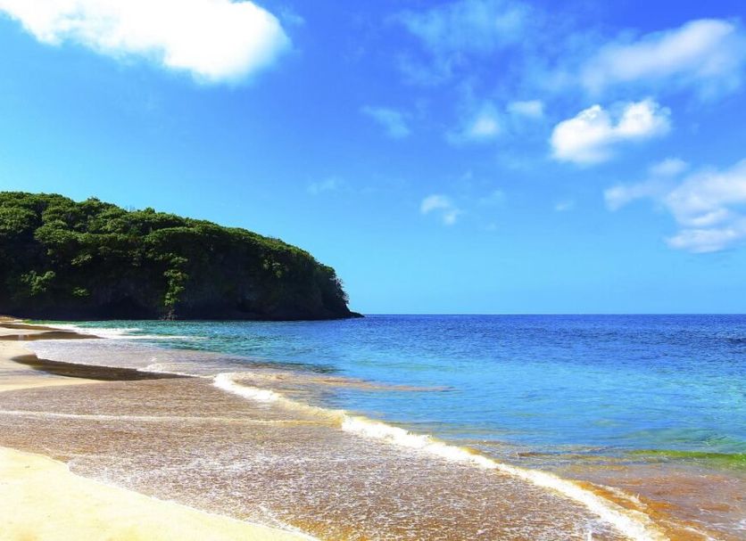 Beach Photo