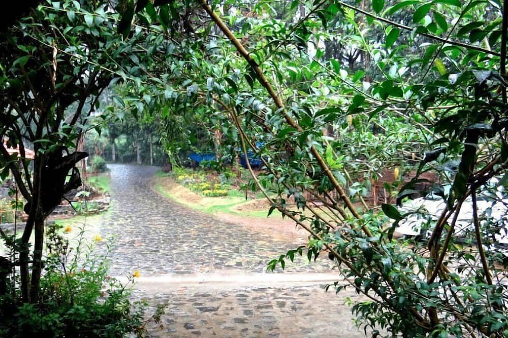 Outdoor view