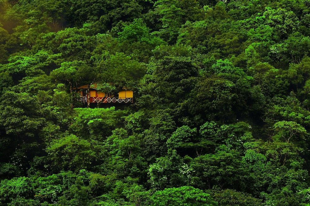 Outdoor view