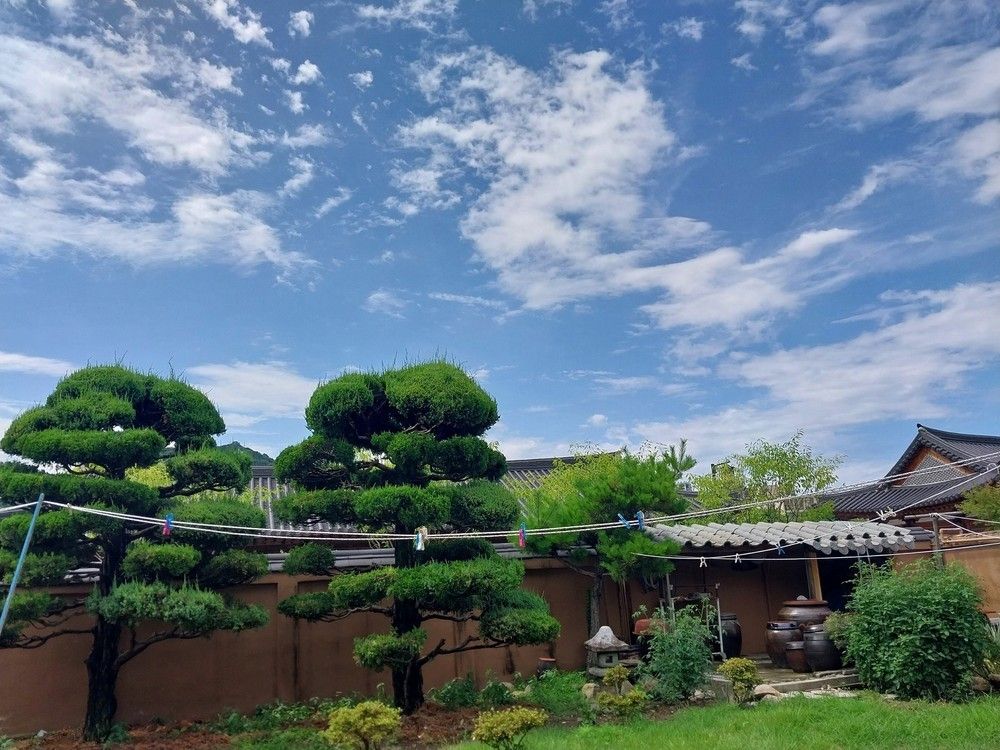 Outdoor view
