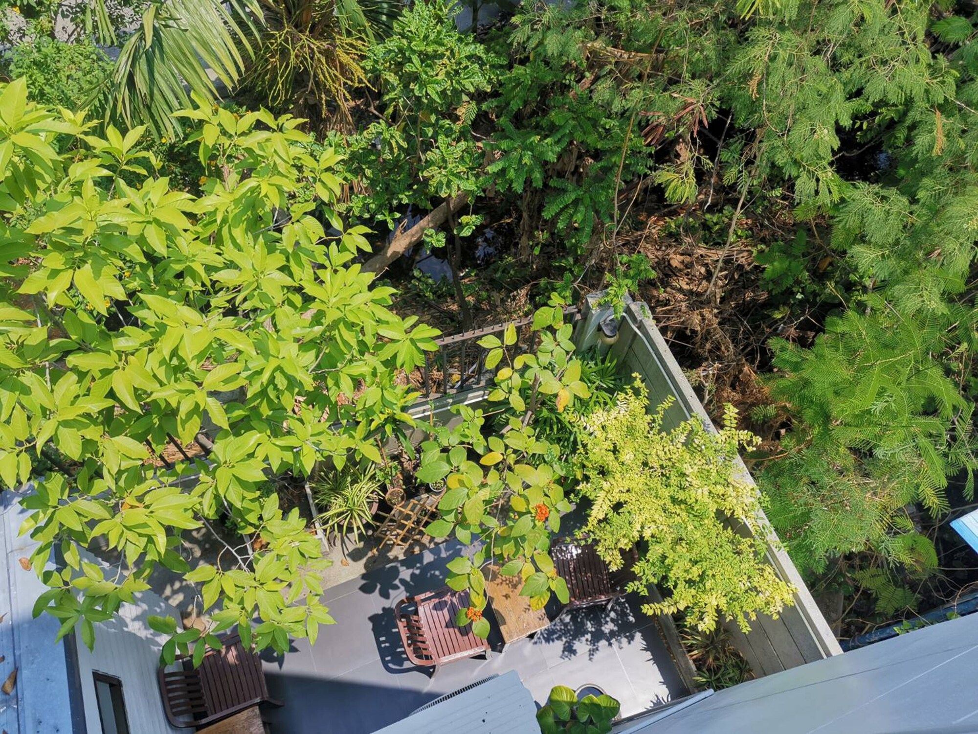 Outdoor view