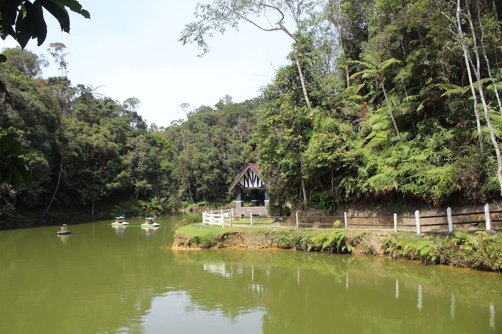Outdoor view