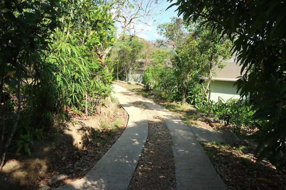 Outdoor view