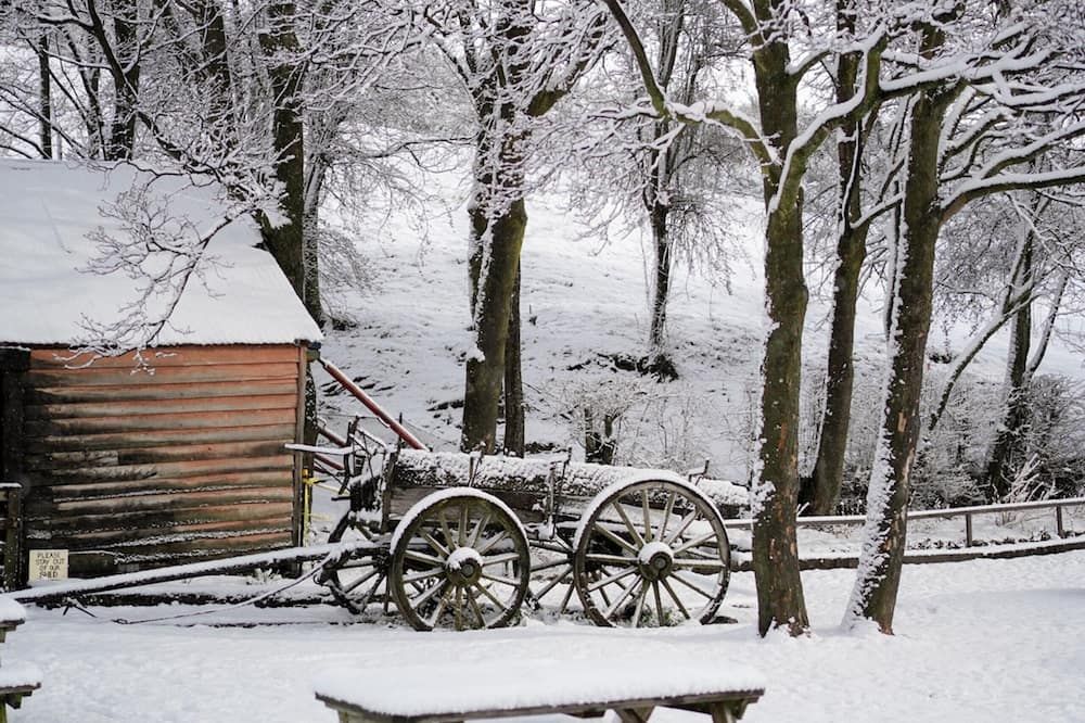 Outdoor view
