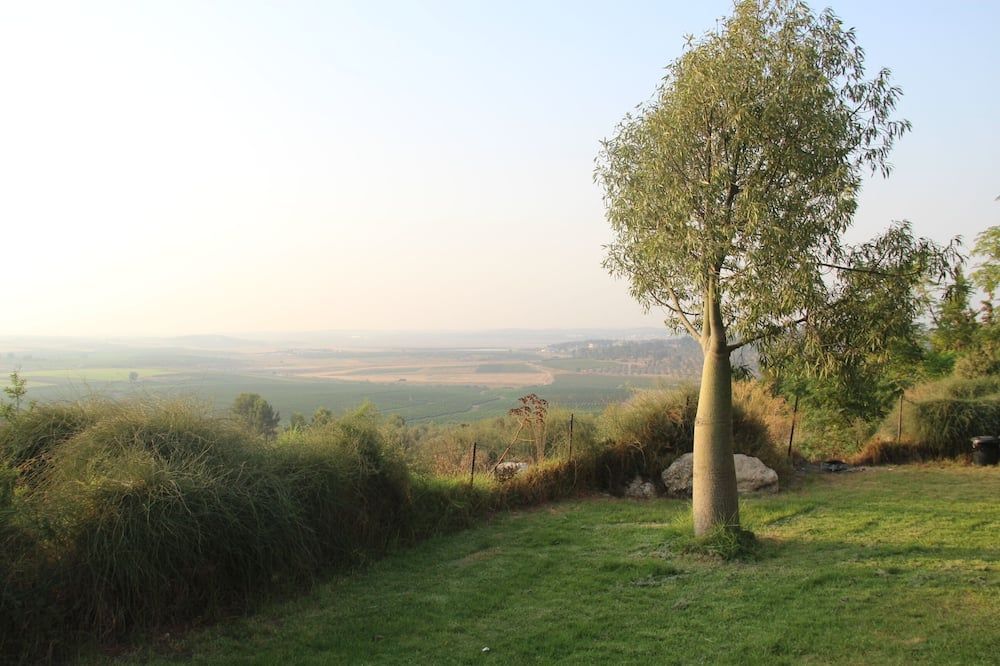 Outdoor view