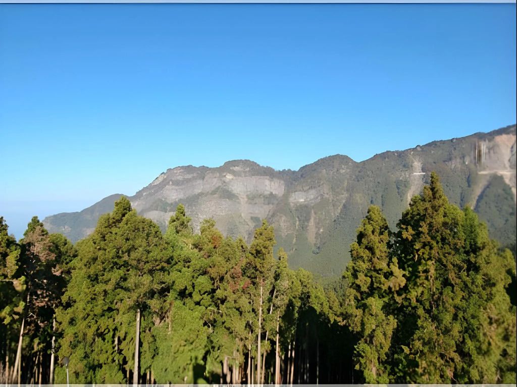 Outdoor view