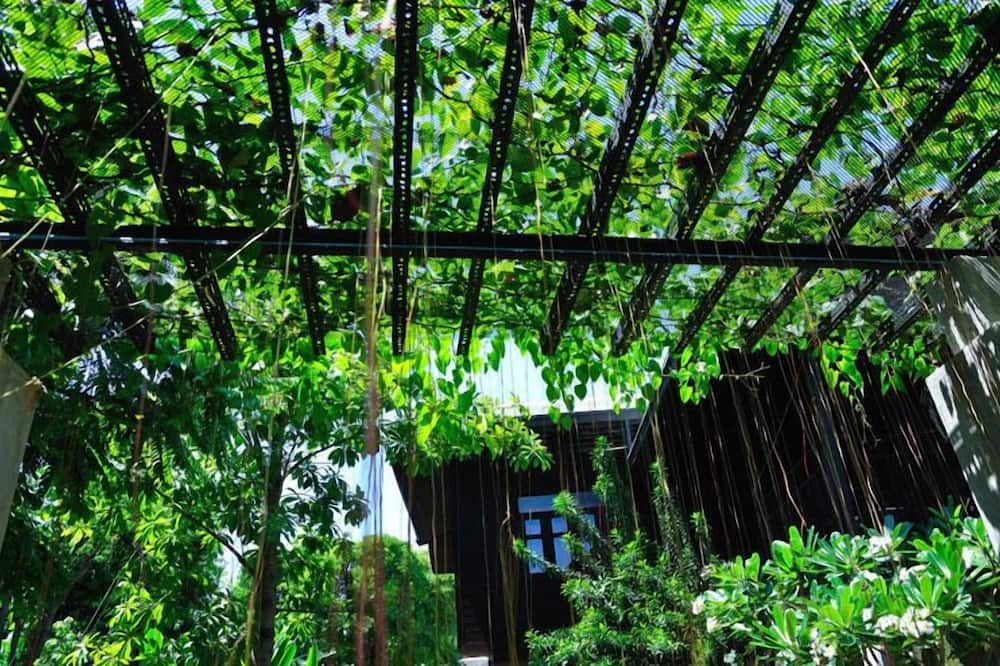 Outdoor view