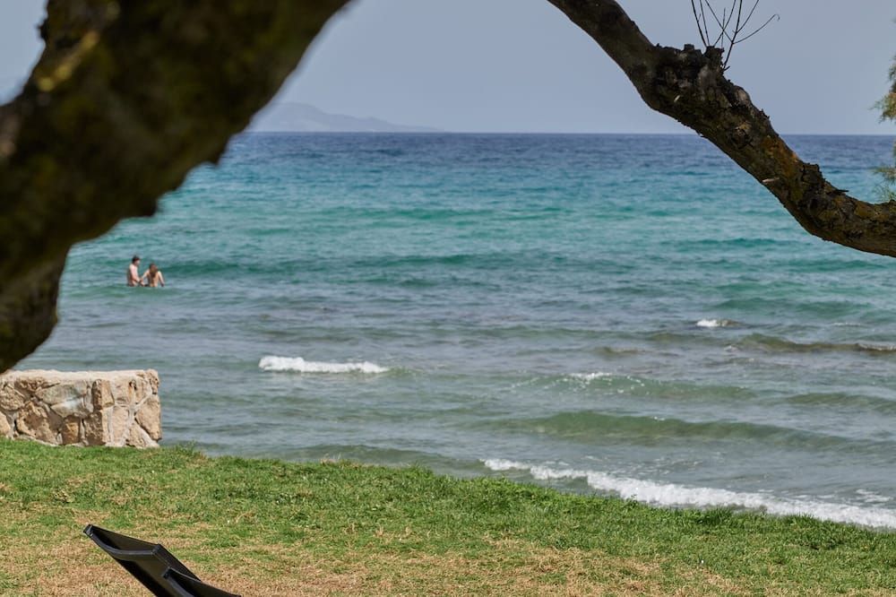 Beach Photo