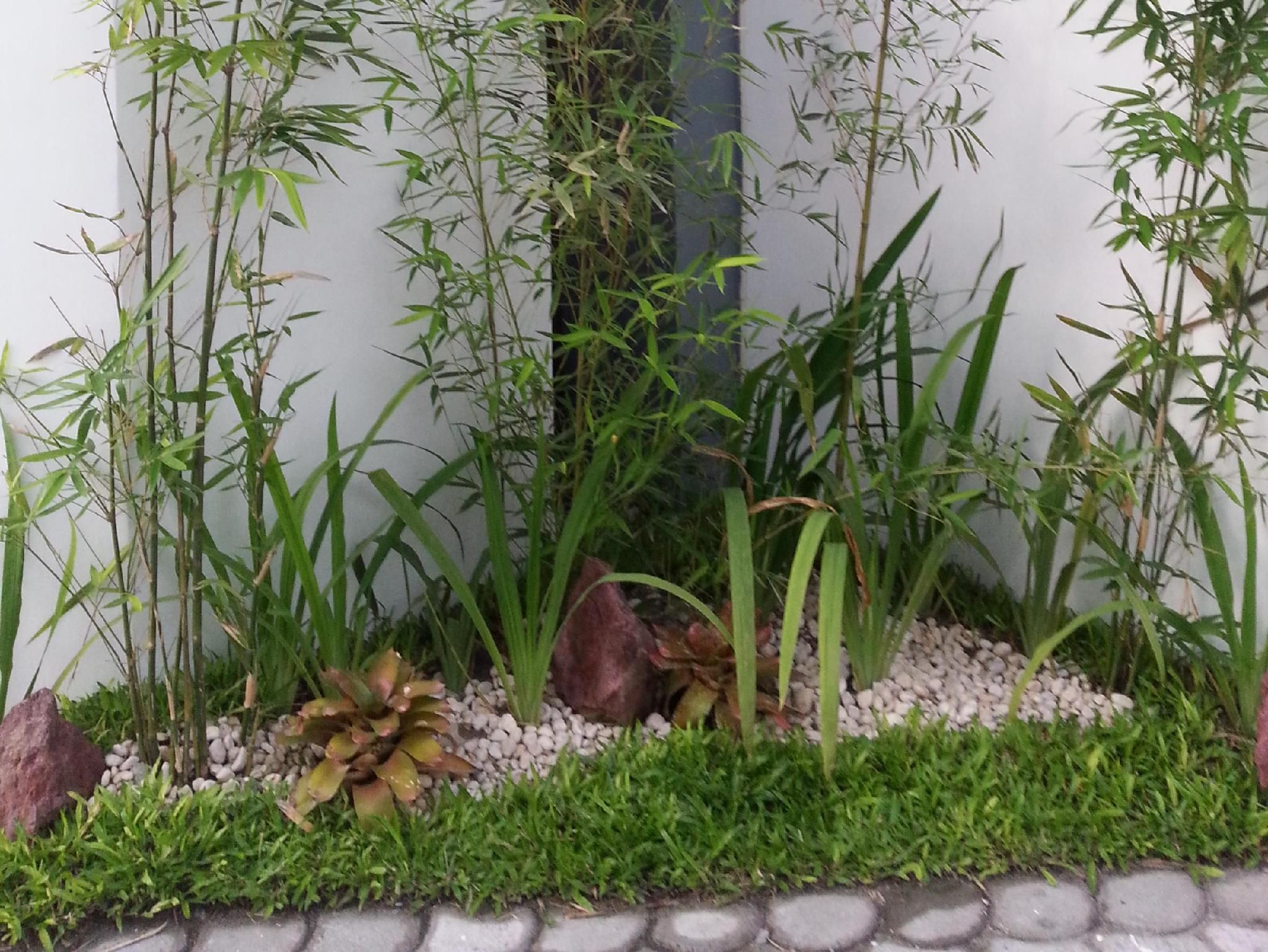 Outdoor view