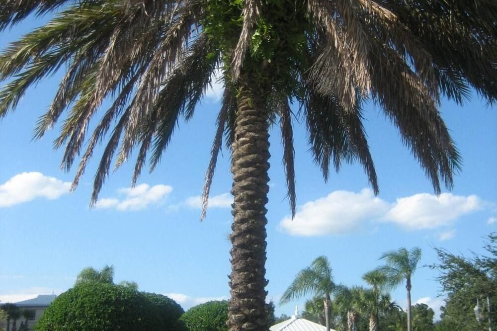 Outdoor view
