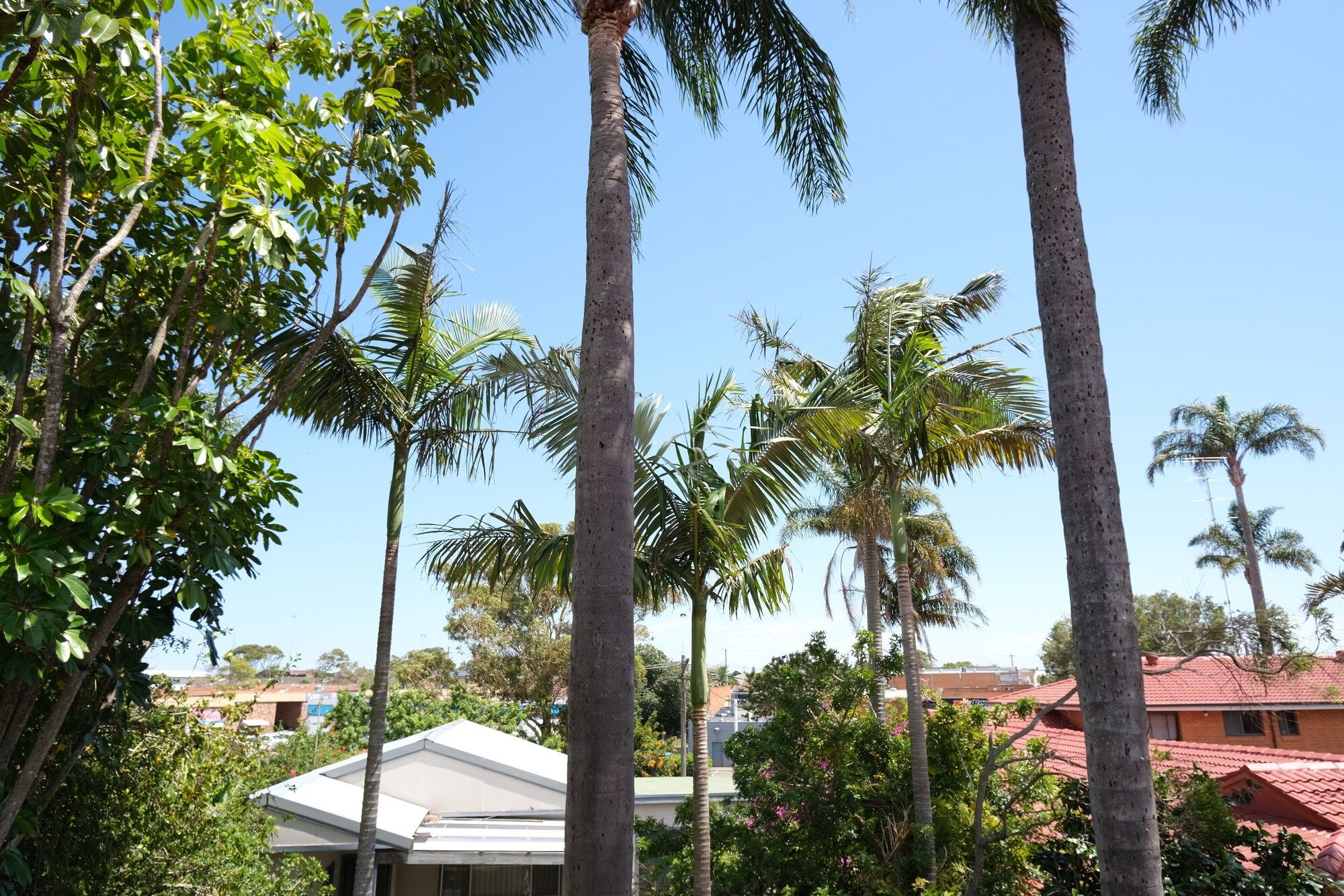 Outdoor view