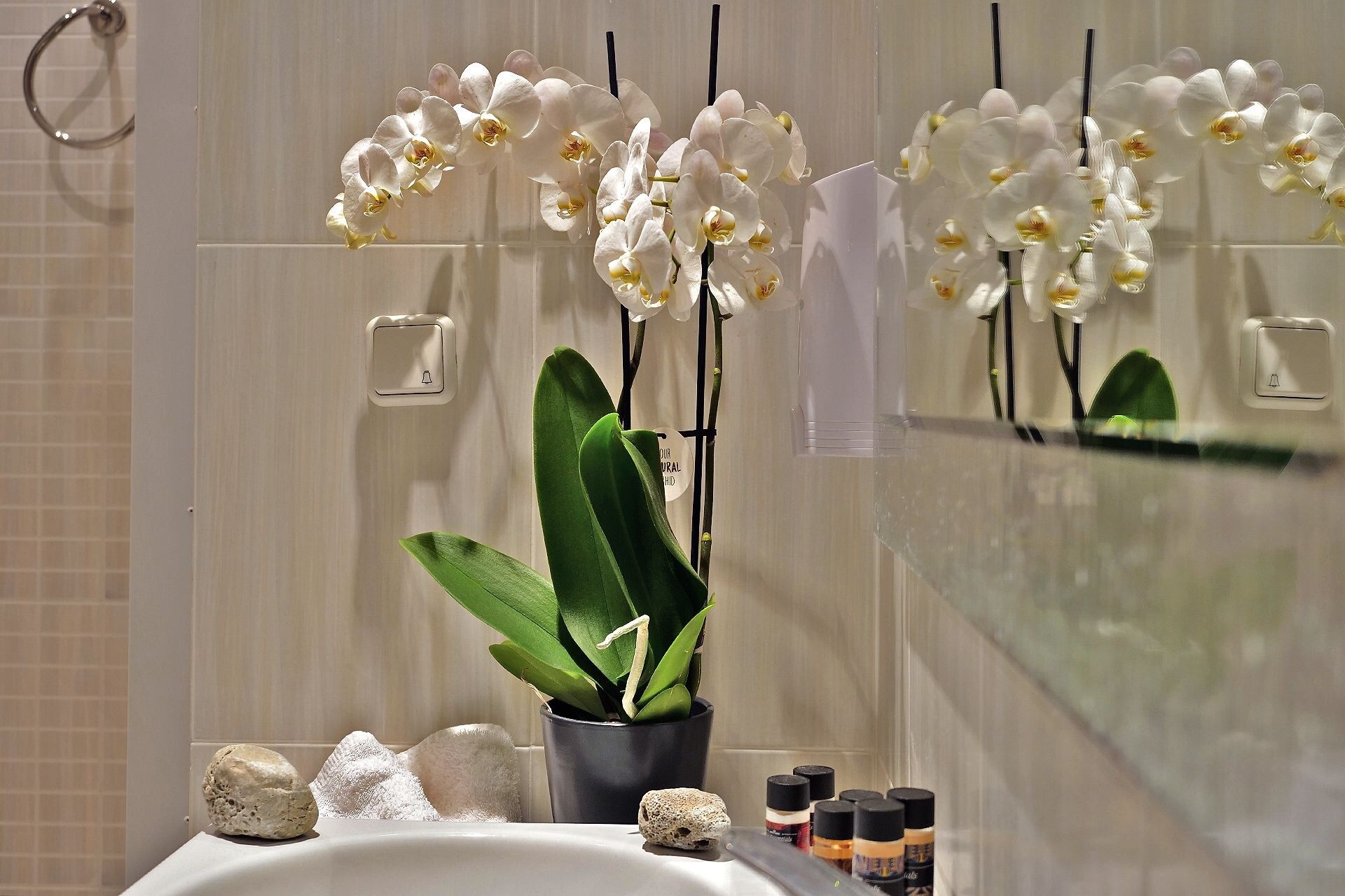 Room amenity