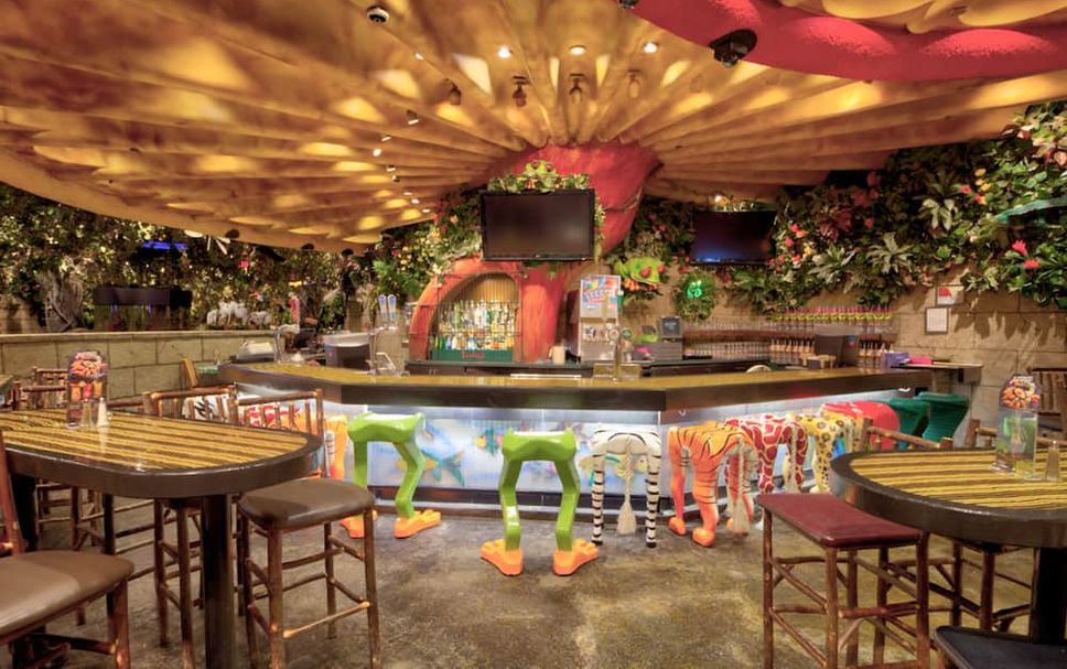Bar Photo