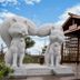 Outdoor view
