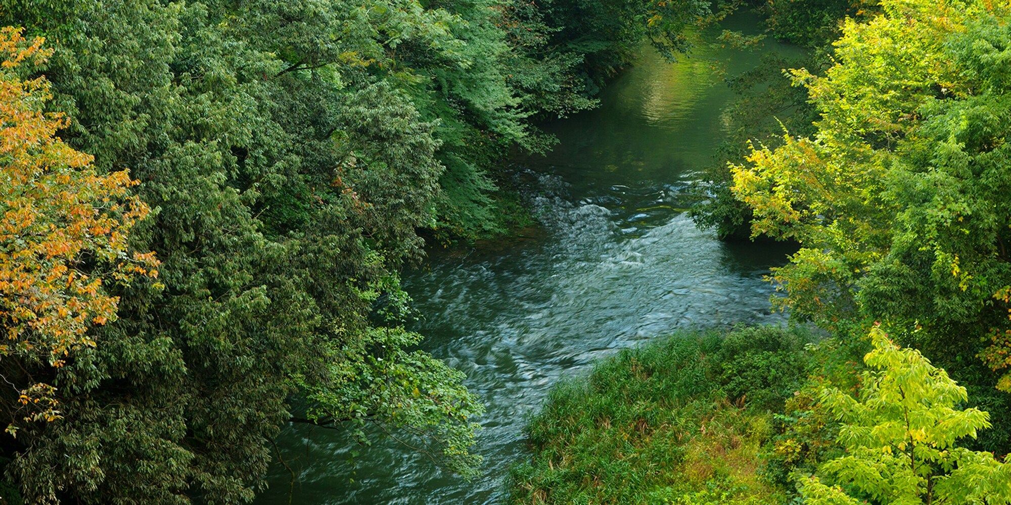 Outdoor view
