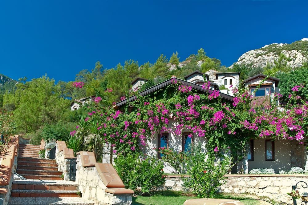 Outdoor view
