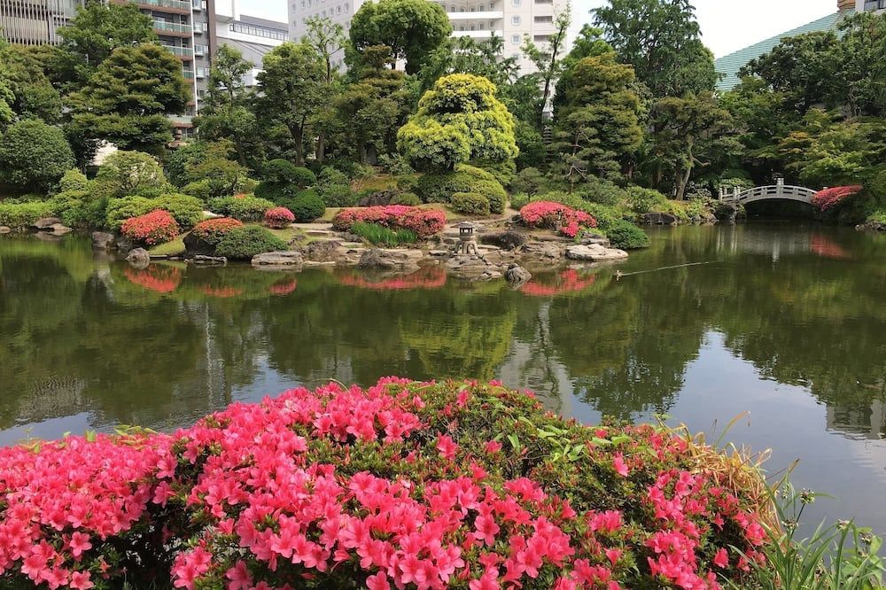 Outdoor view