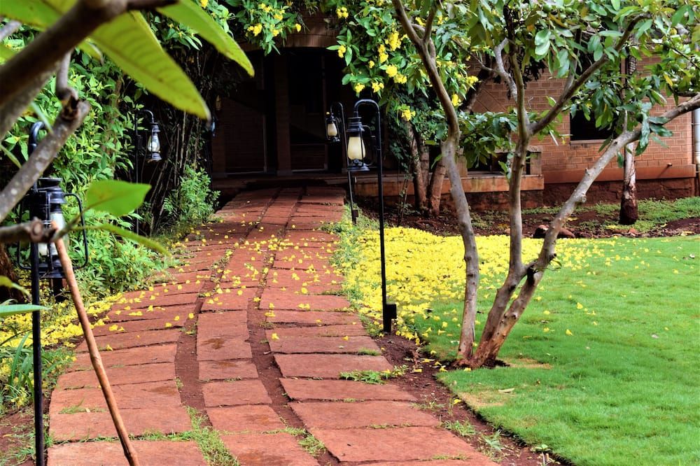 Outdoor view
