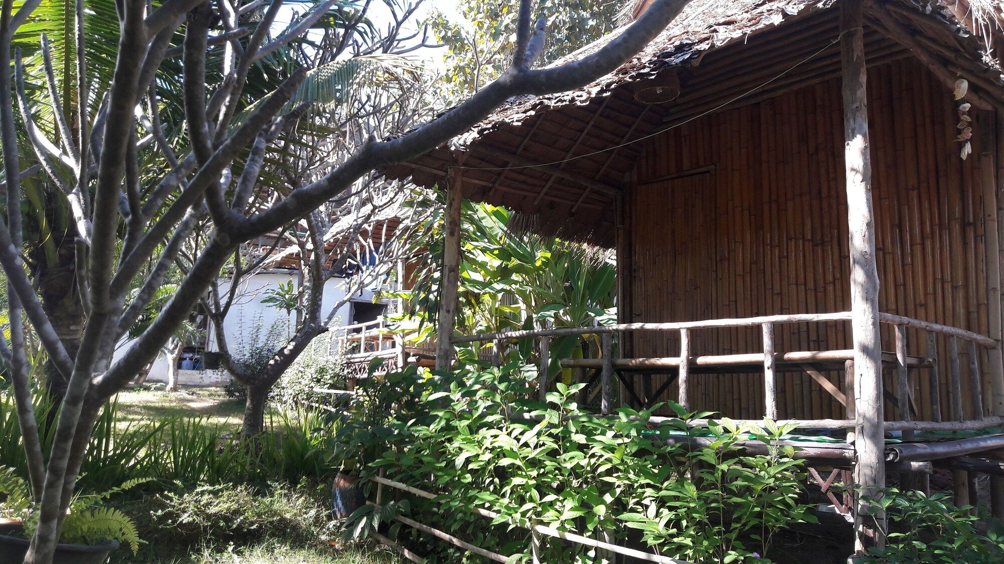 Outdoor view