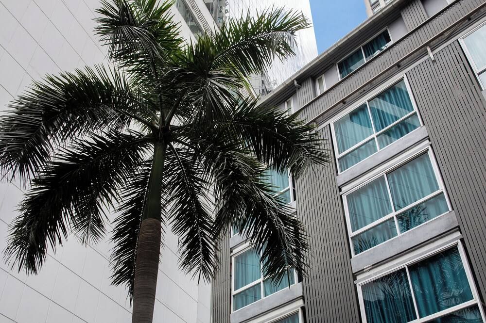 Outdoor view
