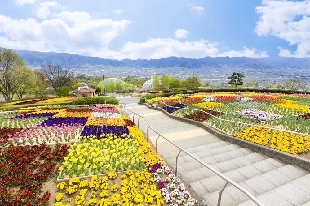Outdoor view