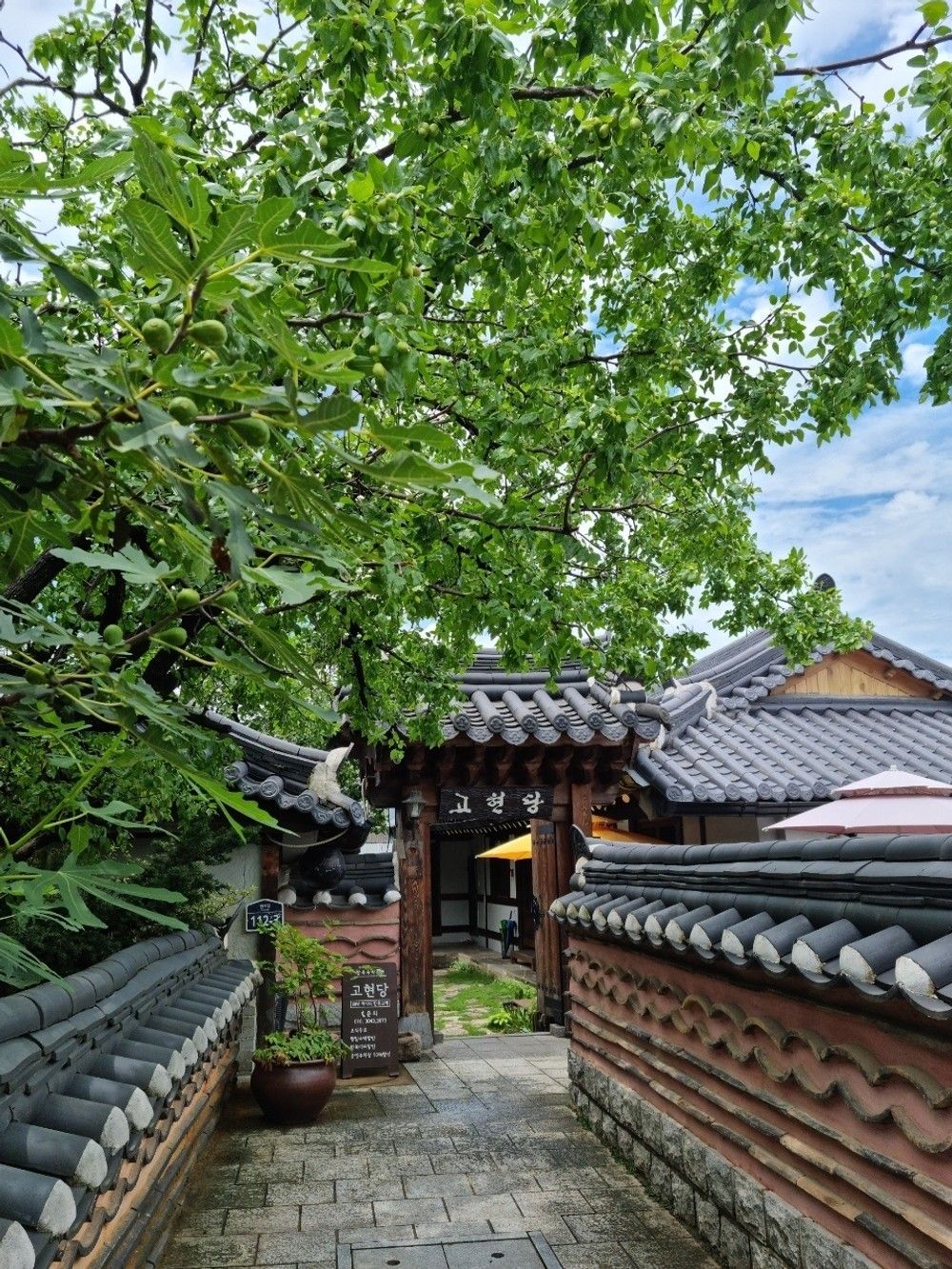 Outdoor view
