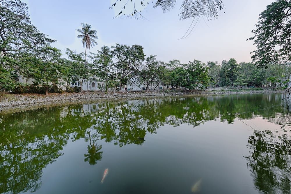 Outdoor view