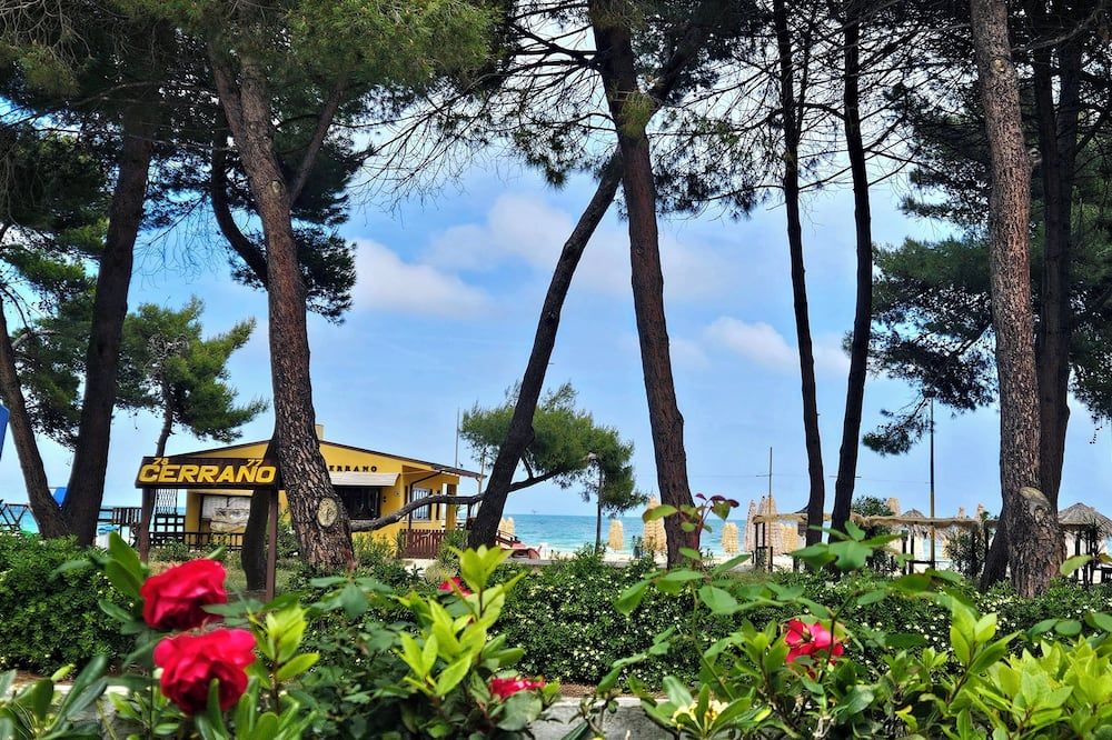 Outdoor view